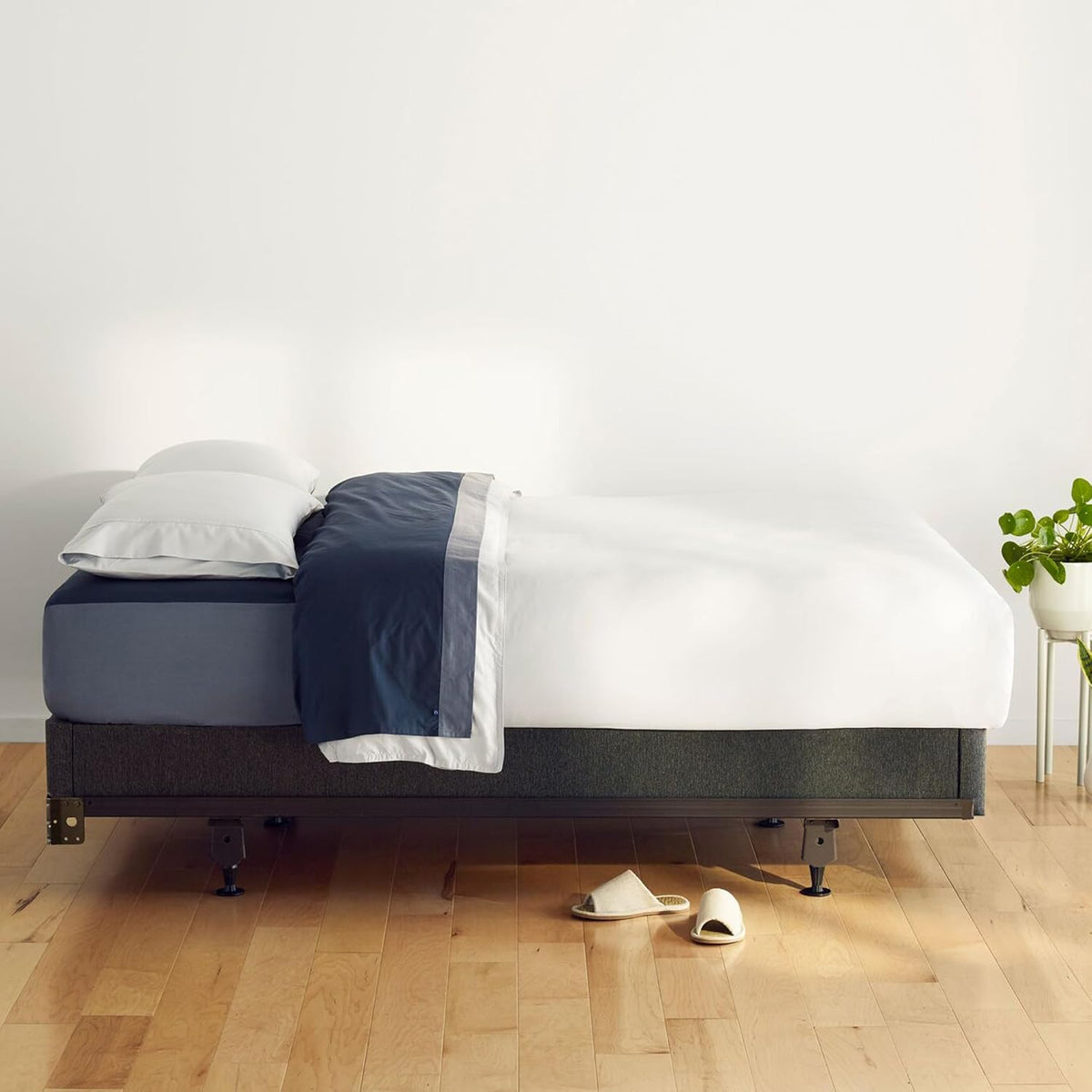 Casper Sleep Foundation for Twin XL Mattress