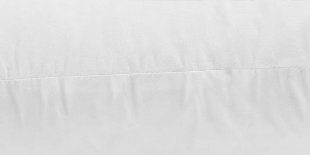 Premium Goose down Feather Throw Pillow Inserts-Set of 1, 63Oz High Filling Weight, 28×28, 5% down Filling, 250 TC Cotton Cover, Square, White