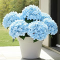 6 Bundles Blue Hydrangea Artificial Flowers for Outdoors and Indoor